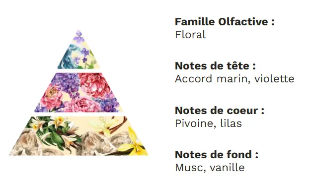 Capture d'écran 2025-10-10 184510.webp