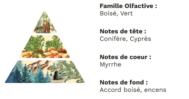 Capture d'écran 2025-10-12 112619.webp