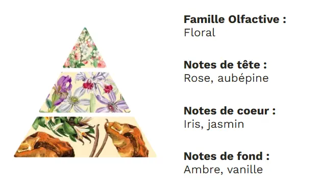 Capture d'écran 2025-10-12 114355.webp