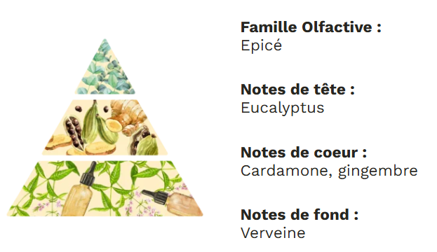 Note olfactive bougie cardamome