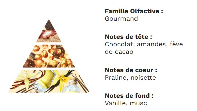 Notes olfactives bougie rocher praliné